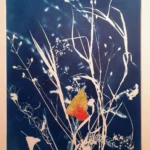 Das Herbstblatt - Cyanotypie, 30x40cm