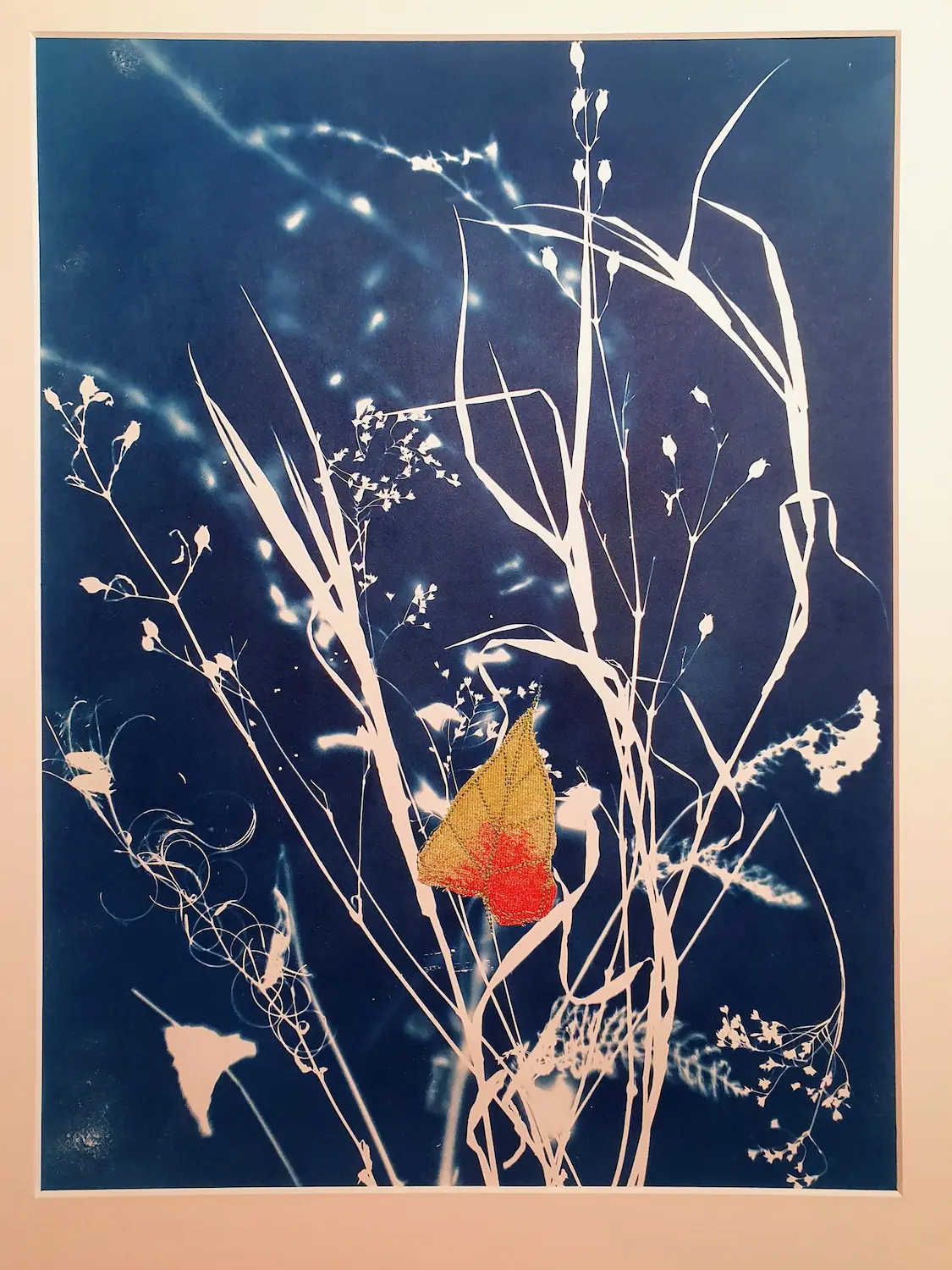 Das Herbstblatt - Cyanotypie, 30x40cm