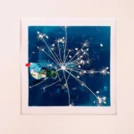 Der Riesenbärenklau, eine Dolde im vergänglichen Samenstand - Cyanotypie, 30x30cm