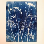 Die Bärenkralle - Der Riesenbärenklau - Cyanotypie, 50x64cm