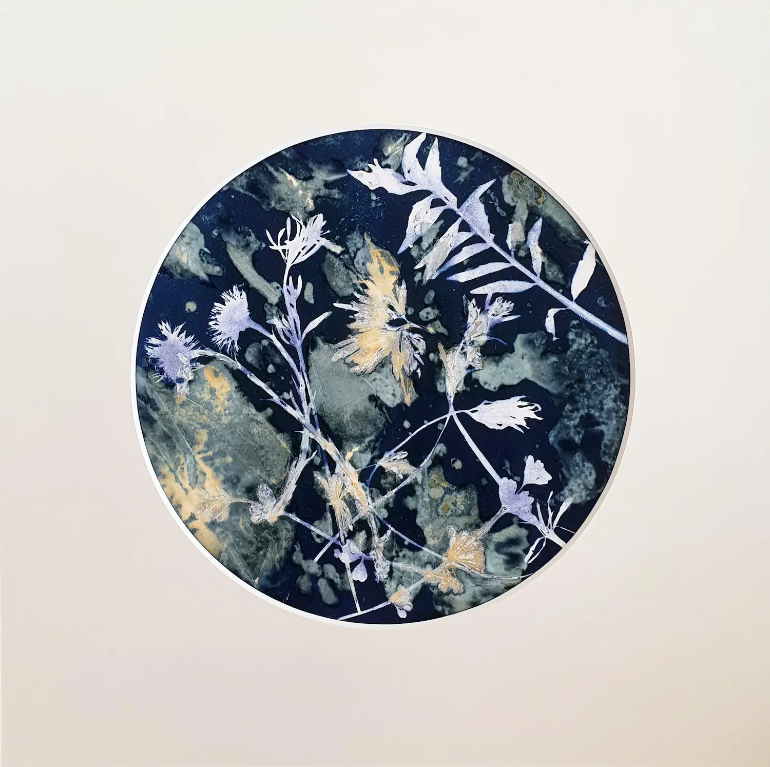 Die ersten Frühlingsboten - Cyanotypie, 20cm Durchmesser