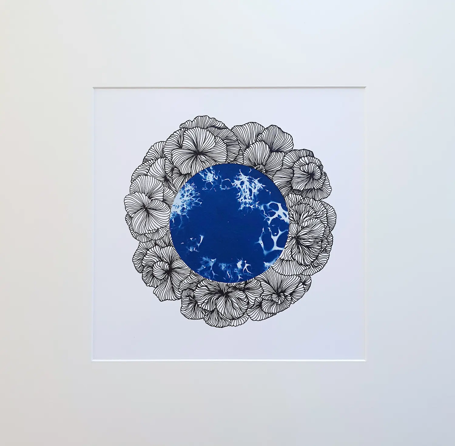 Die Flechten blühen - Cyanotypie, 30x30cm