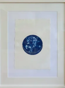 Frauenmantel - Schutz der Liebe - Cyanotypie