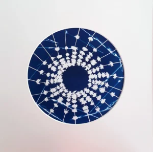 Lavendula in Harmonie - Cyanotypie, 20cm Durchmesser