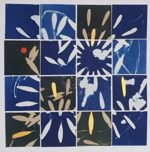 Samara-geflügelte Nüsschen - Cyanotypie, 30x30cm