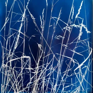 Maltechnik Cyanotypie