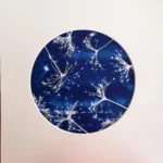 Unbezahlbares Feuerwerk - Cyanotypie, 20cm