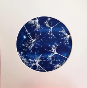 Unbezahlbares Feuerwerk - Cyanotypie, 20cm