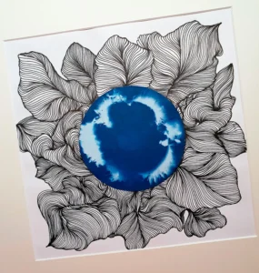 Verwitterte, zertretene Fichtenzapfen und trotzdem im Licht - Cyanotypie, 30x30cm